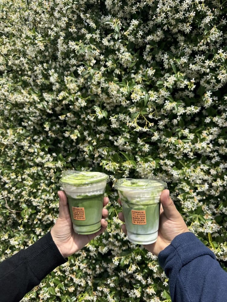 Two hands holding green matcha drinks against white flowers